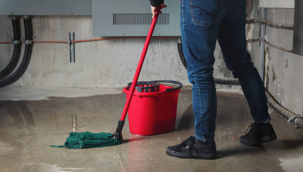 Best Professional water damage repair  in Battle Ground, WA